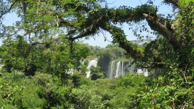 Patagonie — étape 12 : Iguazu Argentina