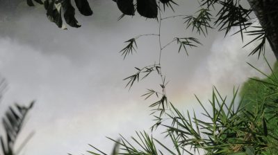 Patagonie — étape 12 : Iguazu Argentina