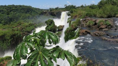 Patagonie — étape 12 : Iguazu Argentina