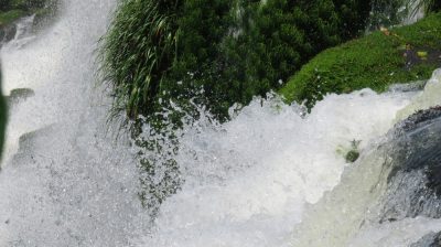 Patagonie — étape 12 : Iguazu Argentina