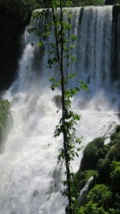 Patagonie — étape 12 : Iguazu Argentina