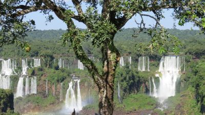Patagonie — étape 13 : Iguazu Brazil