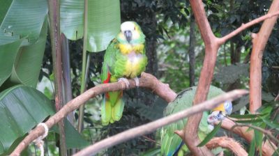 Patagonie — étape 14 : Parque das Aves