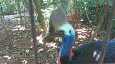 Patagonie — étape 14 : Parque das Aves