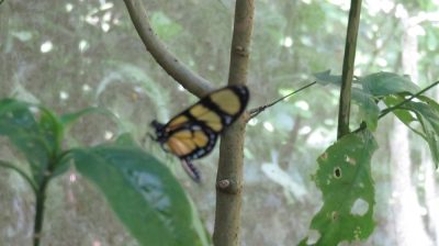 Patagonie — étape 14 : Parque das Aves