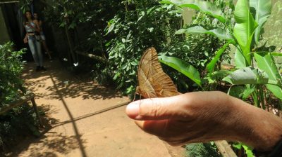 Patagonie — étape 14 : Parque das Aves