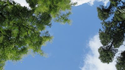 Patagonie — étape 15 : Buenos Aires
