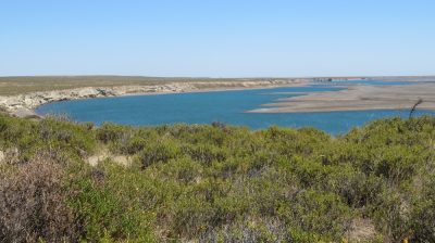 Patagonie — étape 2 : La Péninsule Valdès