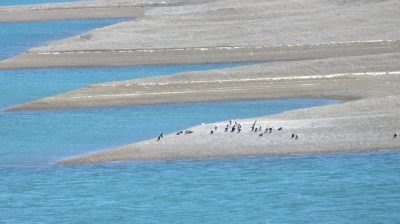 Patagonie — étape 2 : La Péninsule Valdès