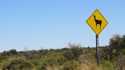 Patagonie — étape 2 : La Péninsule Valdès