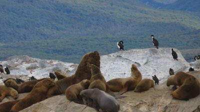 Patagonie — étape 3 : Ushuaia
