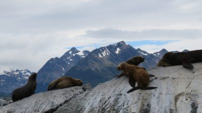 Patagonie — étape 3 : Ushuaia