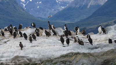 Patagonie — étape 3 : Ushuaia