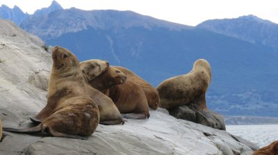 Patagonie — étape 3 : Ushuaia
