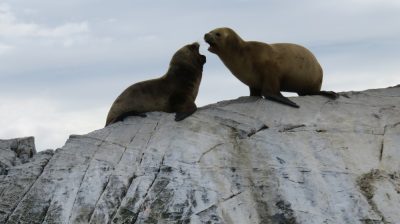 Patagonie — étape 3 : Ushuaia