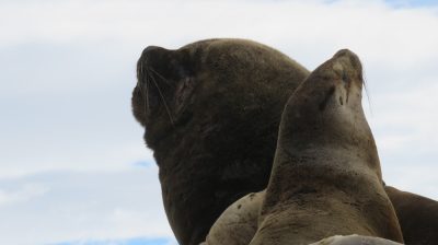 Patagonie — étape 3 : Ushuaia