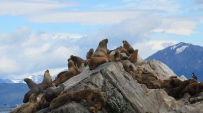Patagonie — étape 3 : Ushuaia