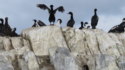 Patagonie — étape 3 : Ushuaia