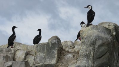 Patagonie — étape 3 : Ushuaia