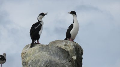 Patagonie — étape 3 : Ushuaia