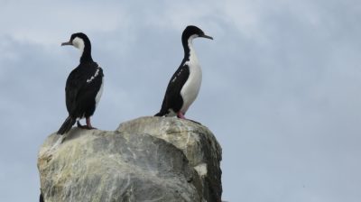 Patagonie — étape 3 : Ushuaia
