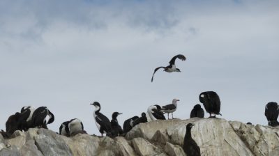 Patagonie — étape 3 : Ushuaia