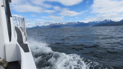 Patagonie — étape 3 : Ushuaia