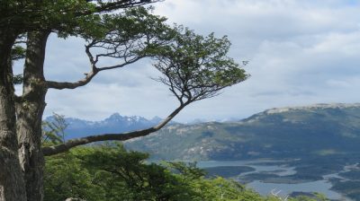 Patagonie — étape 4 : Tierra del Fuego