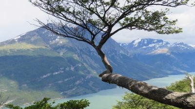 Patagonie — étape 4 : Tierra del Fuego