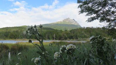 Patagonie — étape 4 : Tierra del Fuego