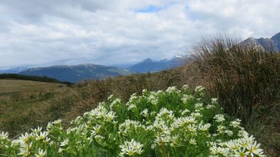 Patagonie — étape 4 : Tierra del Fuego