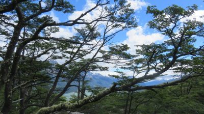 Patagonie — étape 4 : Tierra del Fuego