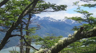 Patagonie — étape 4 : Tierra del Fuego