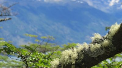 Patagonie — étape 4 : Tierra del Fuego