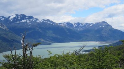 Patagonie — étape 4 : Tierra del Fuego