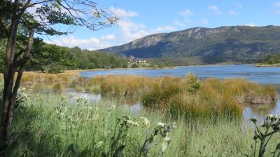 Patagonie — étape 4 : Tierra del Fuego