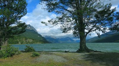 Patagonie — étape 4 : Tierra del Fuego