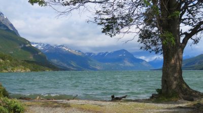 Patagonie — étape 4 : Tierra del Fuego