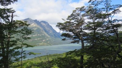 Patagonie — étape 4 : Tierra del Fuego