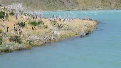 Patagonie — étape 5 : Punta Arenas - Puerto Natales