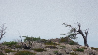 Patagonie — étape 6 : Torres del Paine