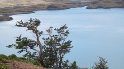 Patagonie — étape 6 : Torres del Paine