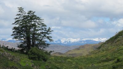 Patagonie — étape 6 : Torres del Paine