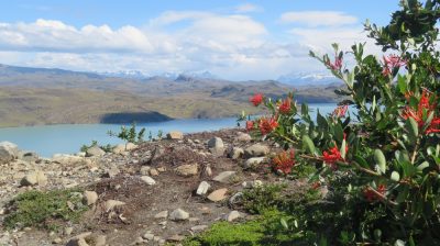 Patagonie — étape 6 : Torres del Paine