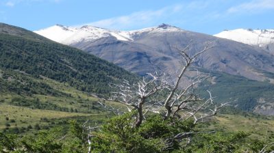Patagonie — étape 6 : Torres del Paine