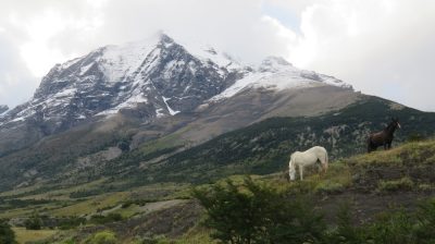 Patagonie — étape 6 : Torres del Paine