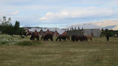 Patagonie — étape 6 : Torres del Paine