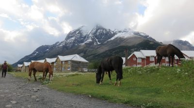 Patagonie — étape 6 : Torres del Paine