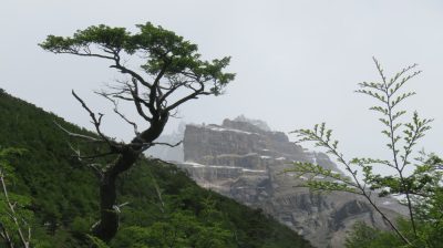 Patagonie — étape 6 : Torres del Paine