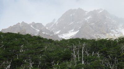 Patagonie — étape 6 : Torres del Paine